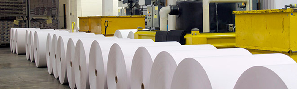 papermaking industry