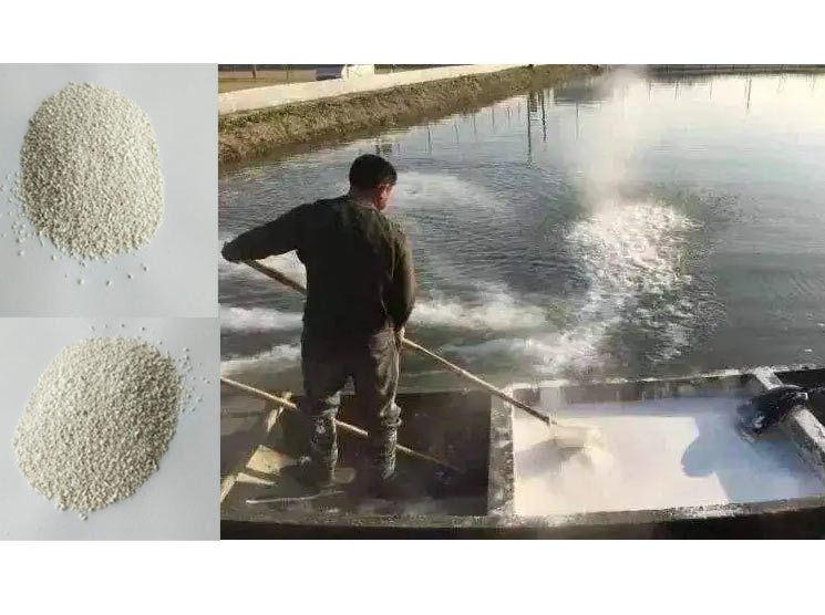Calcium hypochlorite (bleaching powder) emergency treatment and disposal method