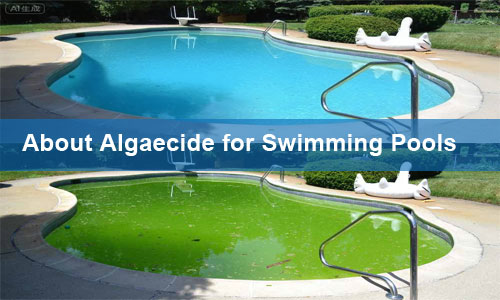 How Much Do You Know About Algaecide? A Complete Guide for Swimming Pool Maintenance