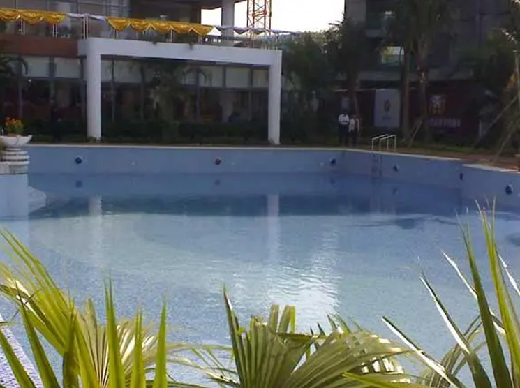 How to Find the Best Pool Algaecide for Your Swimming Pool