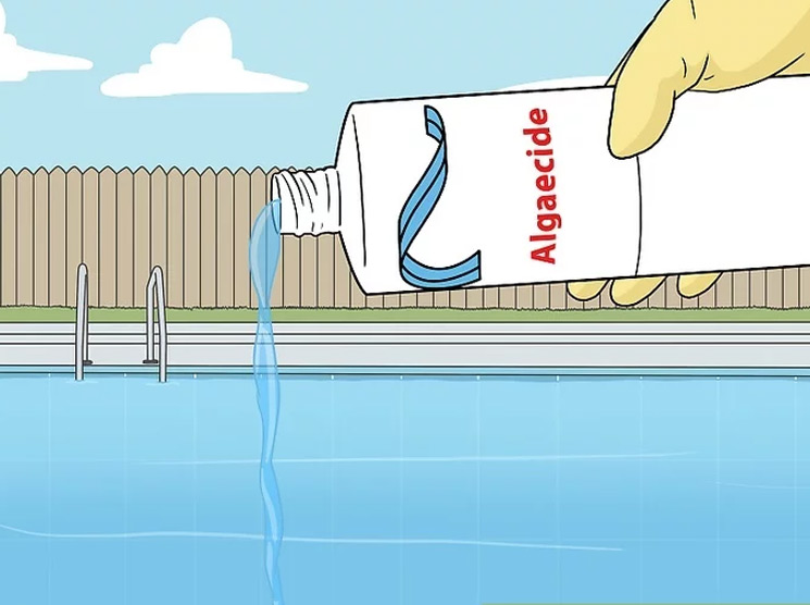 How to Treat Green Algae in a Swimming Pool