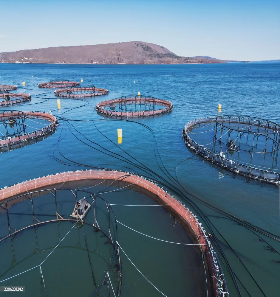 Aquaculture Water Treatment