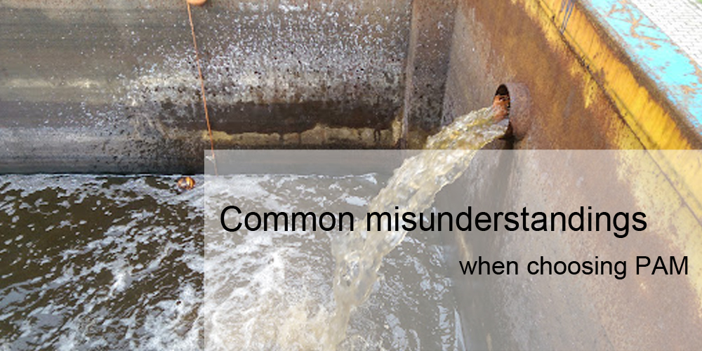 Common misunderstandings when choosing PAM