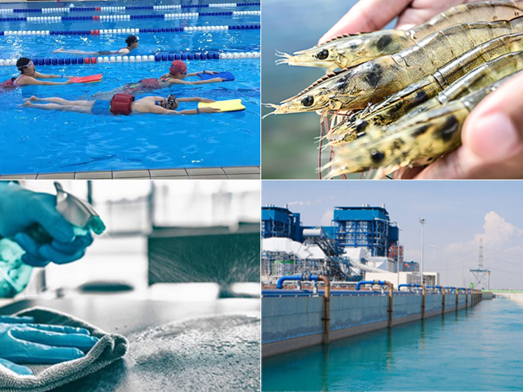 Why Yuncang Sodium Dichloroisocyanurate (SDIC) is Widely Used？