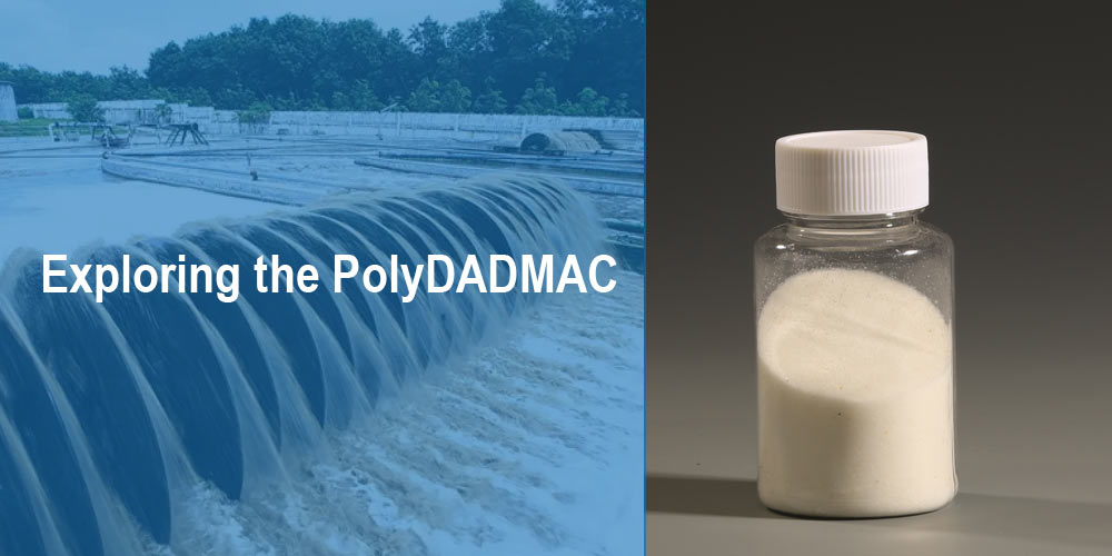 Exploring-the-PolyDADMAC