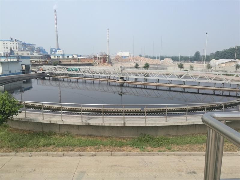 Flocculant - Polyacrylamide (PAM)2