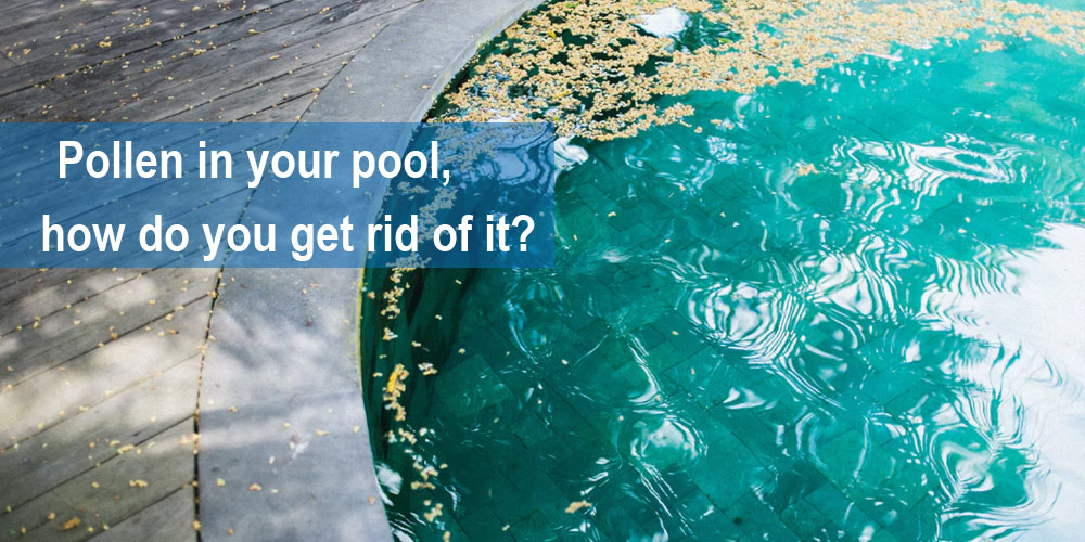 How to Remove Pollen from Your Swimming Pool