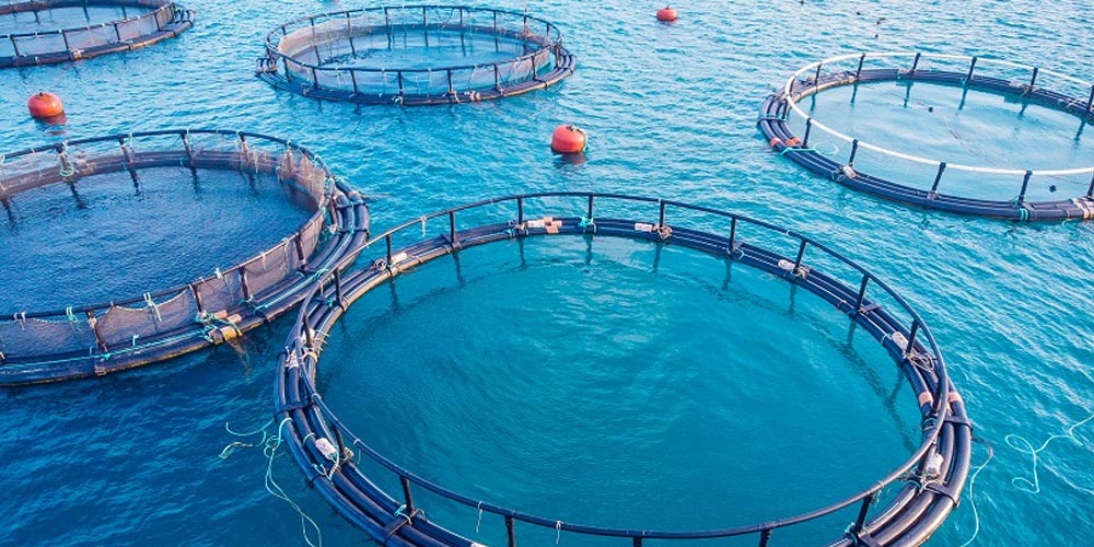PAC in aquaculture