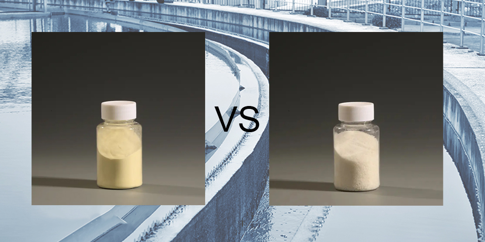 What is the difference between ACH and PAC?