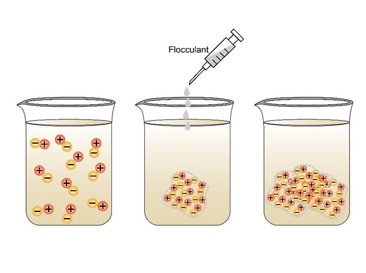 Choosing the Right Polyacrylamide Flocculant: A Comprehensive Guide