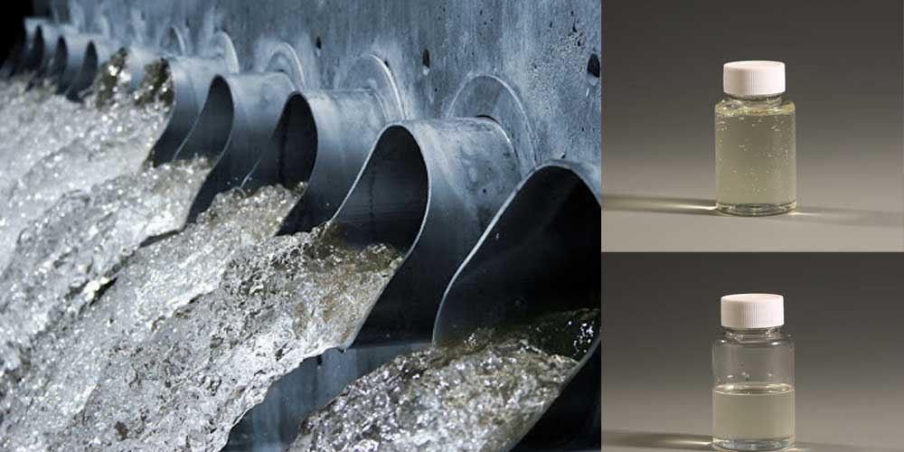 Is PolyDADMAC toxic: Unveil its mystery ?