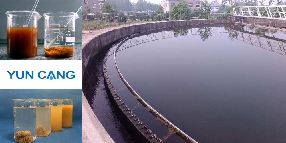 Polyacrylamide Where is it found