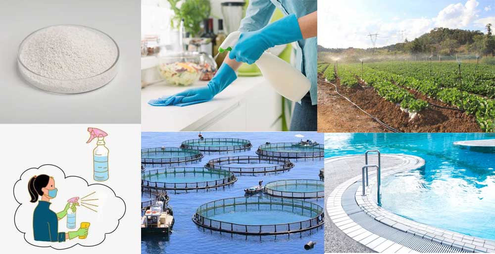 Exploring the Diverse Uses of SDIC Granules in Various Industries