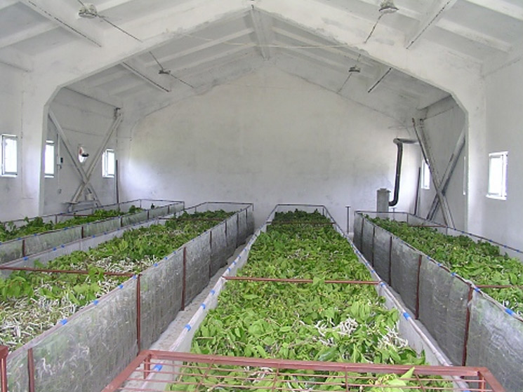 Indispensable Disinfectant in Aquaculture