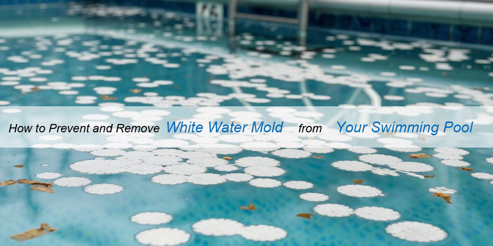 How to Prevent and Remove White Water Mold from Your Swimming Pool？